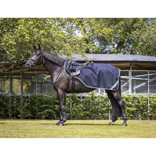 Lemieux arika horse exercise - arika,