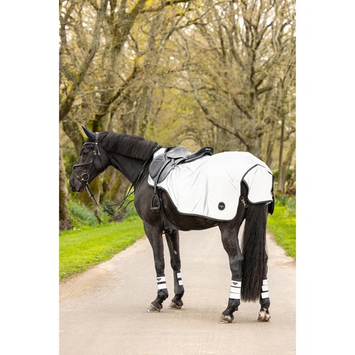 Lemieux horse reflective - lemieux,