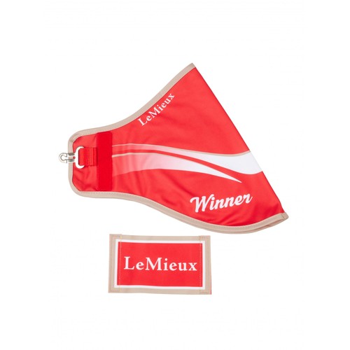 Lemieux hobby horse toy - hobby,