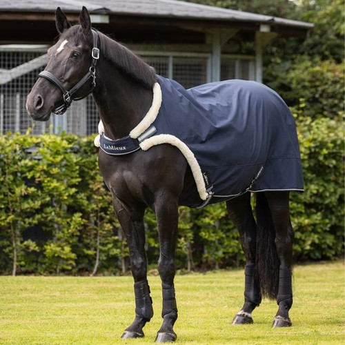 Lemieux walker rug navy - lemieux,