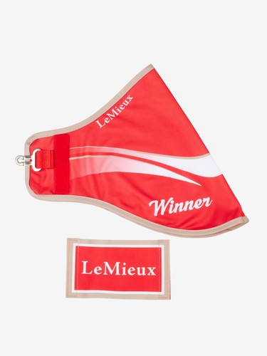 Lemieux hobby horse - lemieux,