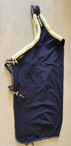 Lemieux walker rug - lemieux, xl