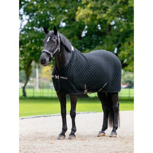 Lemieux arika clima tek rug - arika,