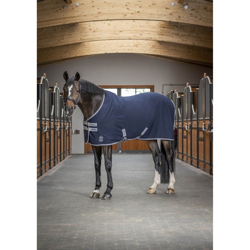Lemieux arika horse stable - arika,