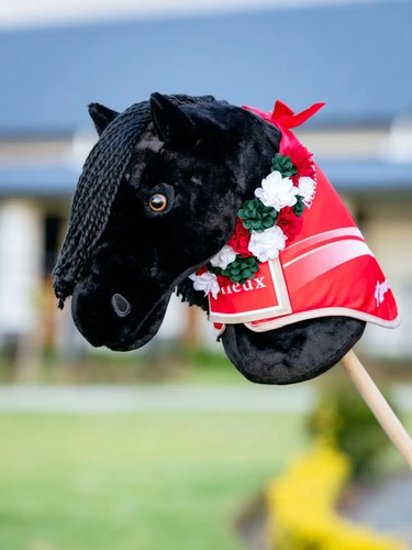 Lemieux hobby horse - lemieux, winners