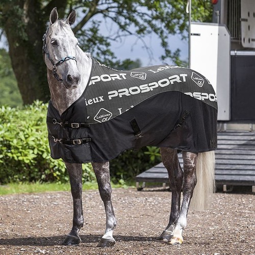 Lemieux prosport carbon cooler - lemieux,