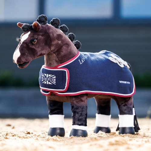 Lemieux toy pony winners - pony,