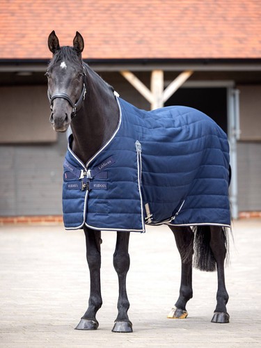Lemieux kudos stable blanket - kudos,