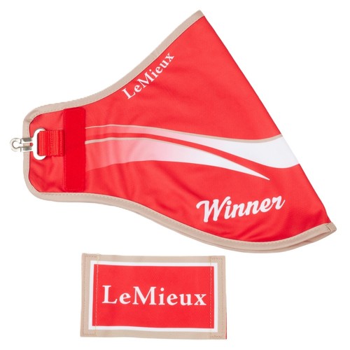 Lemieux hobby horse - hobby,